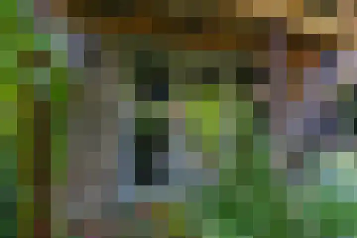Staverden 18 Barneveld thumbnail 35
