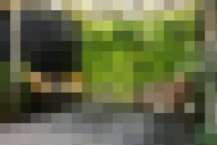 Staverden 18 Barneveld thumbnail 38