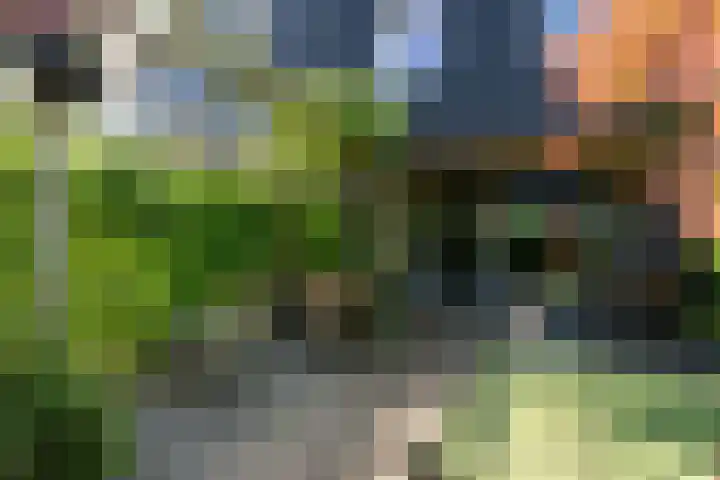 Staverden 18 Barneveld thumbnail 39