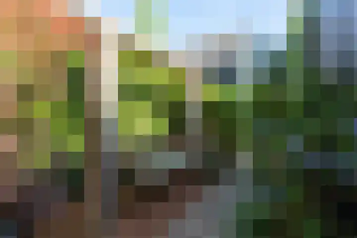 Staverden 18 Barneveld thumbnail 40