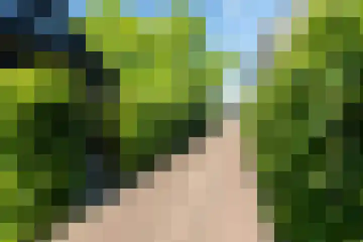 Staverden 18 Barneveld thumbnail 42