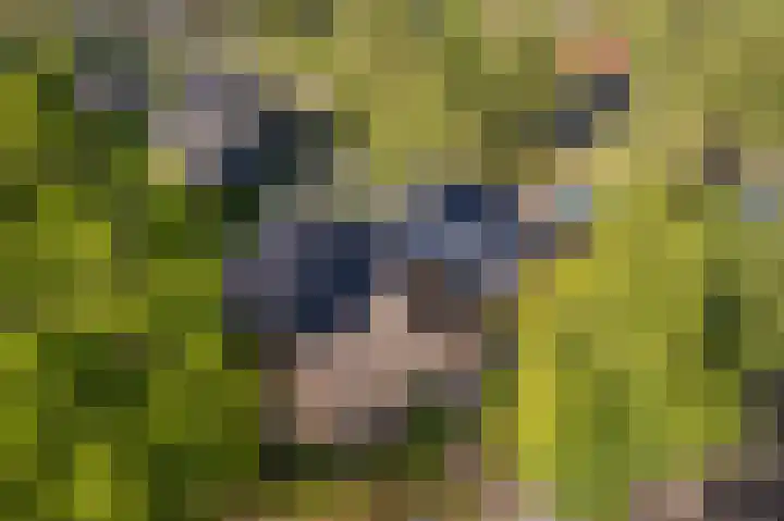 Staverden 18 Barneveld thumbnail 49