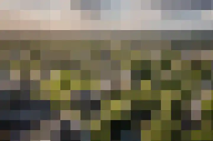 Staverden 18 Barneveld thumbnail 52