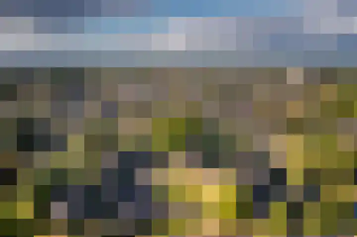Staverden 18 Barneveld thumbnail 55