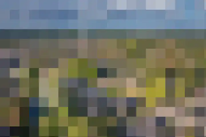 Staverden 18 Barneveld thumbnail 56
