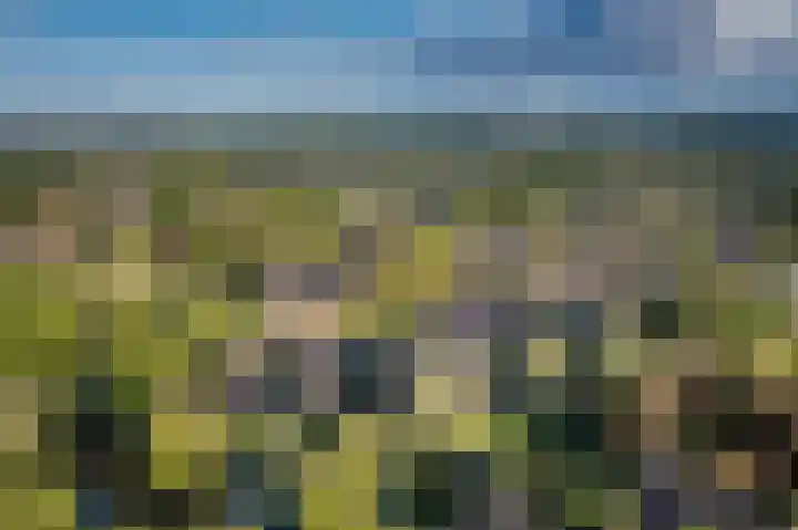 Staverden 18 Barneveld thumbnail 58