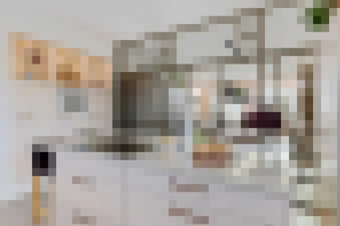 Staverdense beek 25 Biddinghuizen thumbnail 10