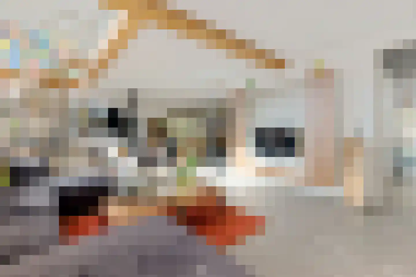 Staverdense beek 25 Biddinghuizen thumbnail 19