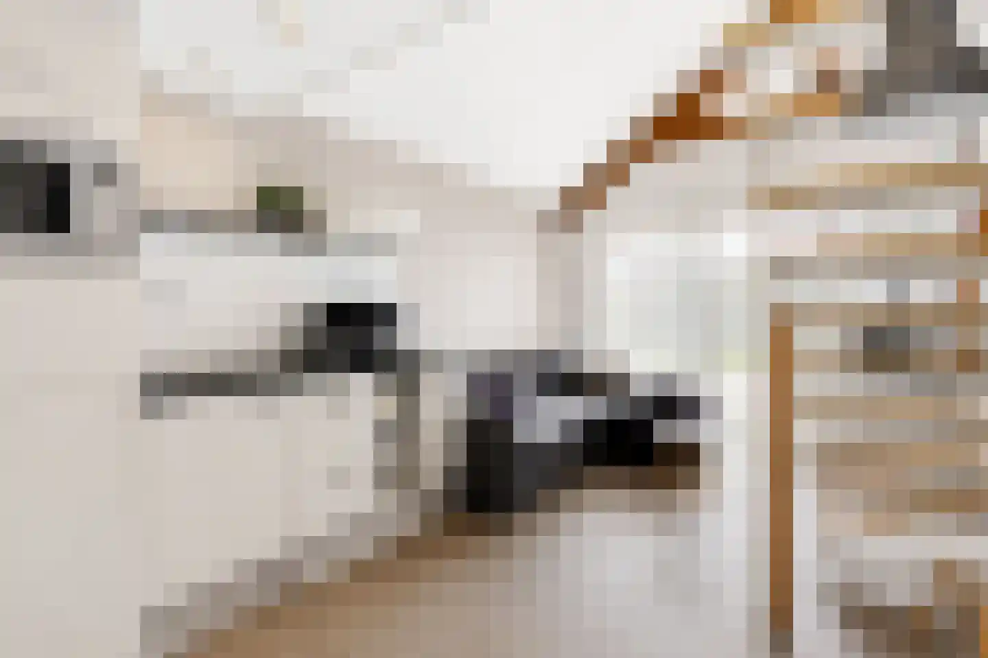 Staverdense beek 25 Biddinghuizen thumbnail 21