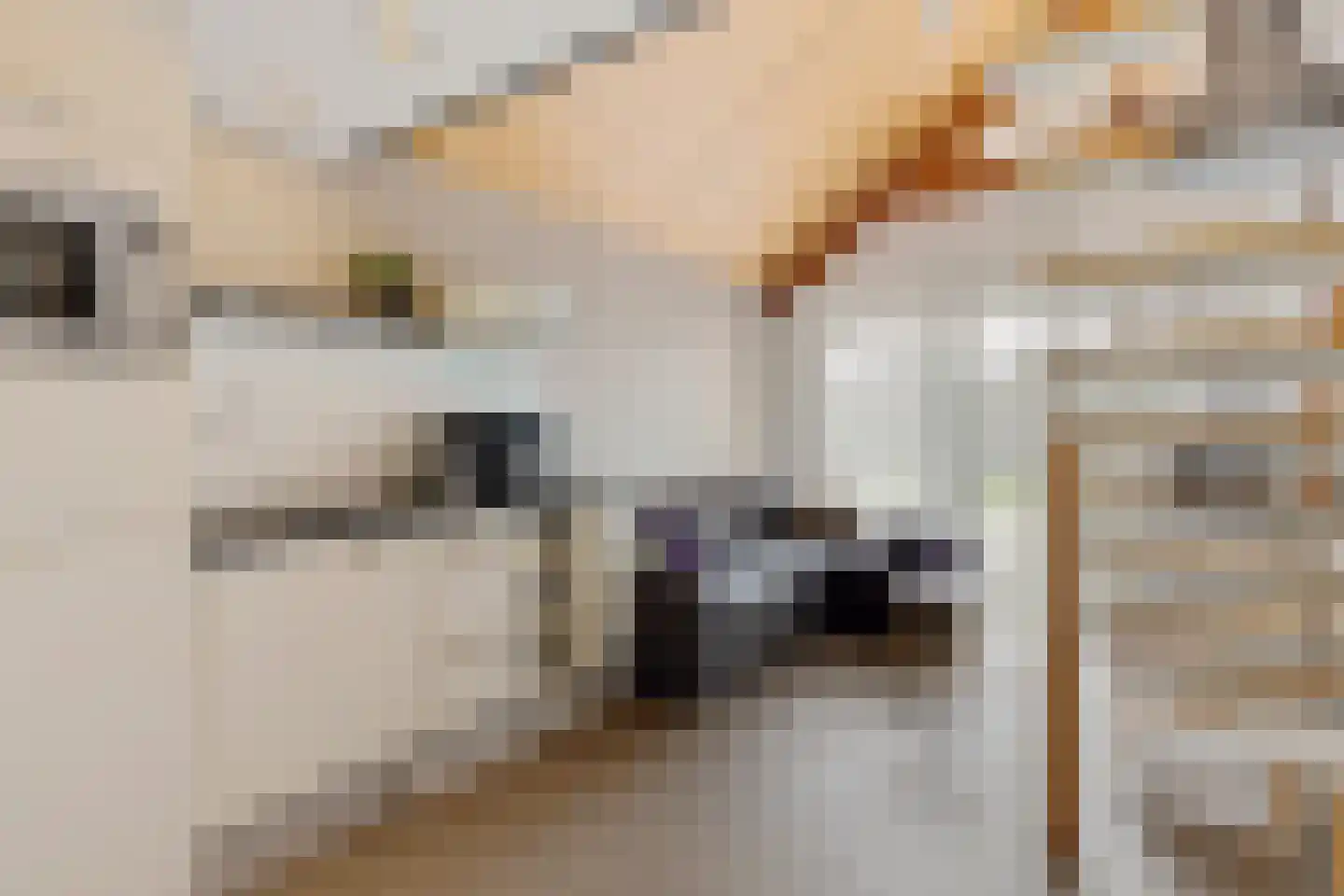 Staverdense beek 25 Biddinghuizen thumbnail 21