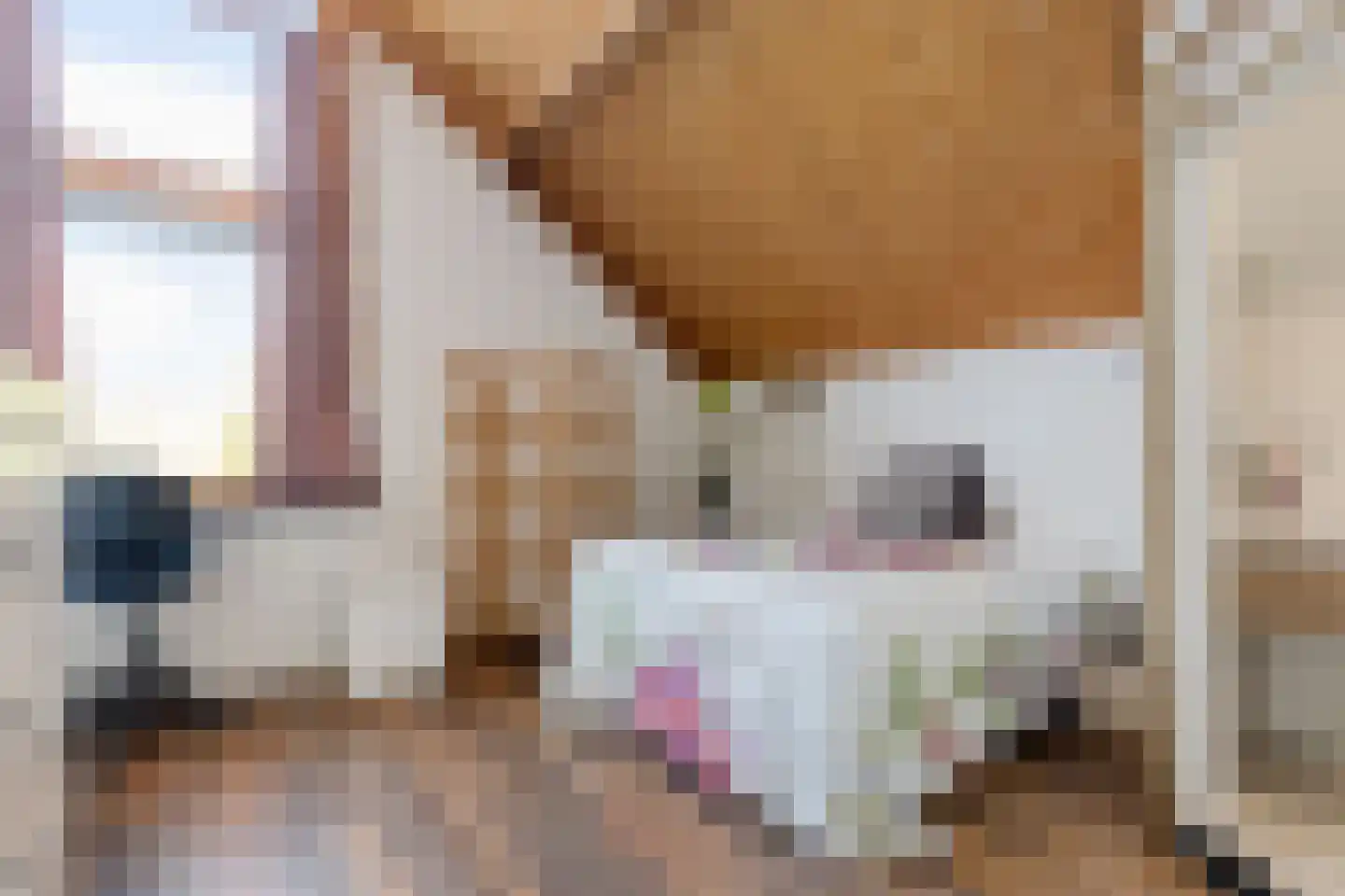 Staverdense beek 25 Biddinghuizen thumbnail 34