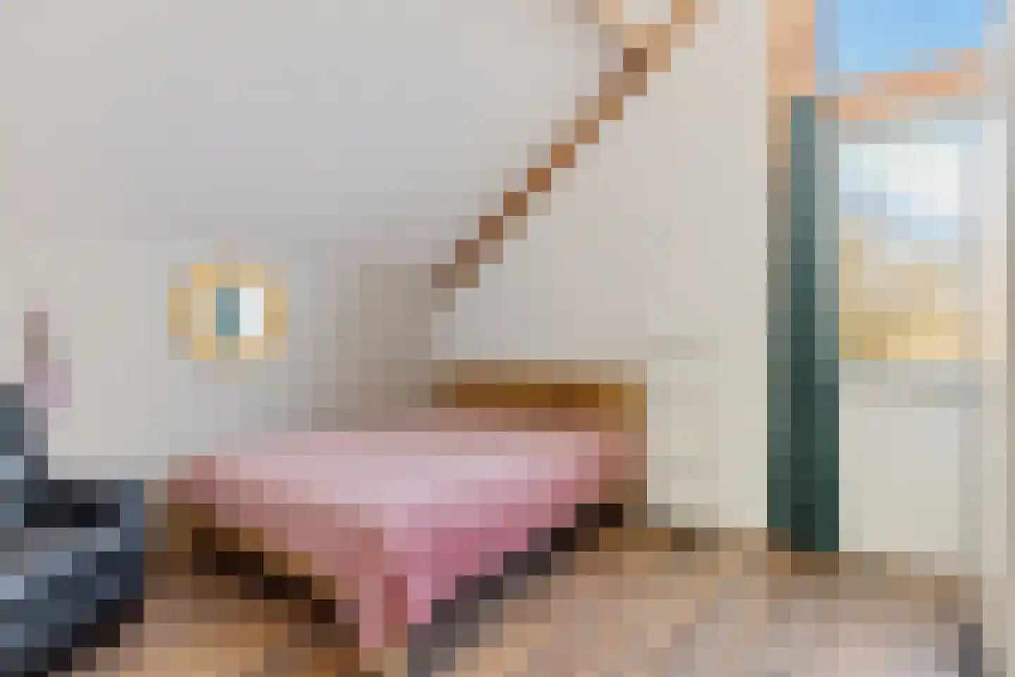 Staverdense beek 25 Biddinghuizen thumbnail 37