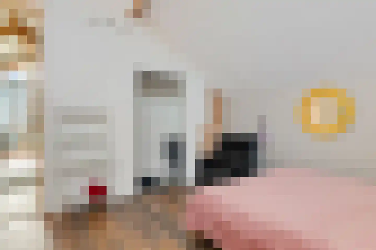 Staverdense beek 25 Biddinghuizen thumbnail 38