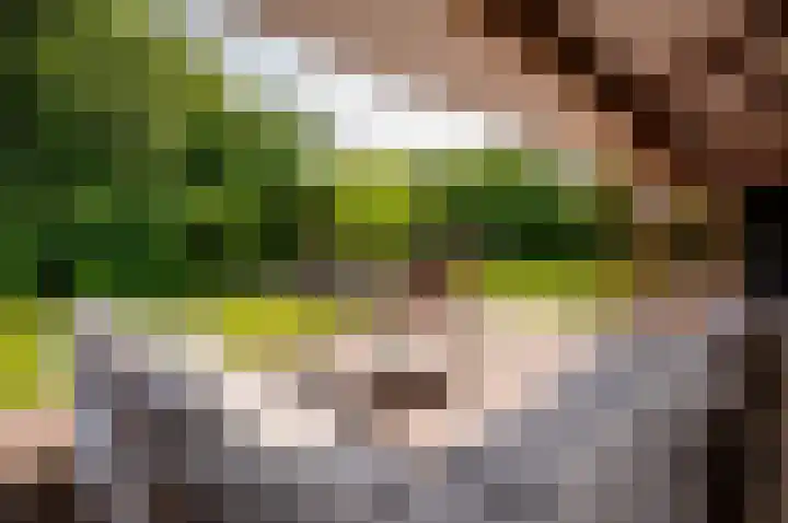 Staverdense beek 8 Biddinghuizen thumbnail 26