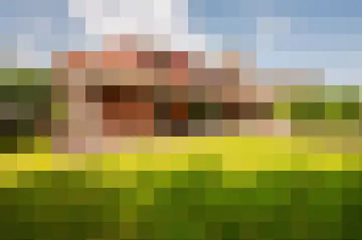 Staverdense beek 8 Biddinghuizen thumbnail 31