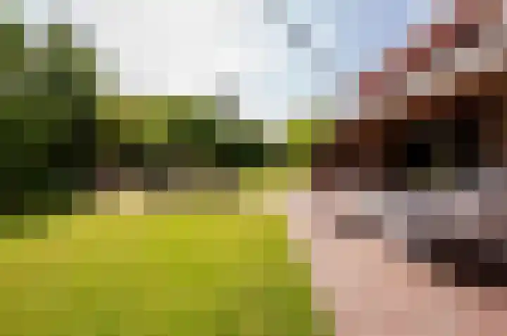 Staverdense beek 8 Biddinghuizen thumbnail 32