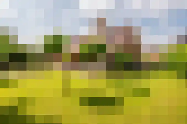 Staverdense beek 8 Biddinghuizen thumbnail 33