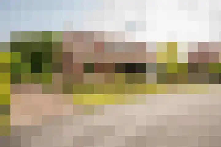 Staverdense beek 8 Biddinghuizen thumbnail 35