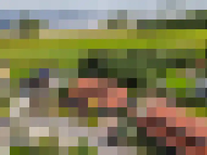 Staverdense beek 8 Biddinghuizen thumbnail 38