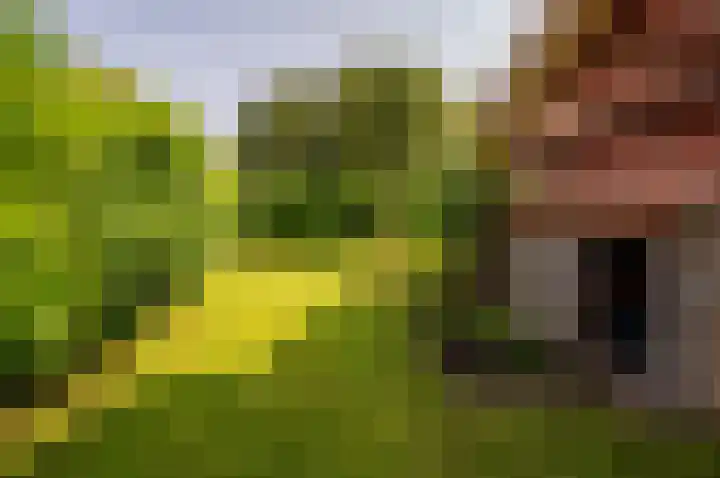 Staverdense beek 8 Biddinghuizen thumbnail 39