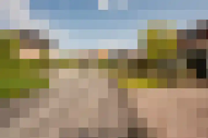 Staverdense beek 8 Biddinghuizen thumbnail 42