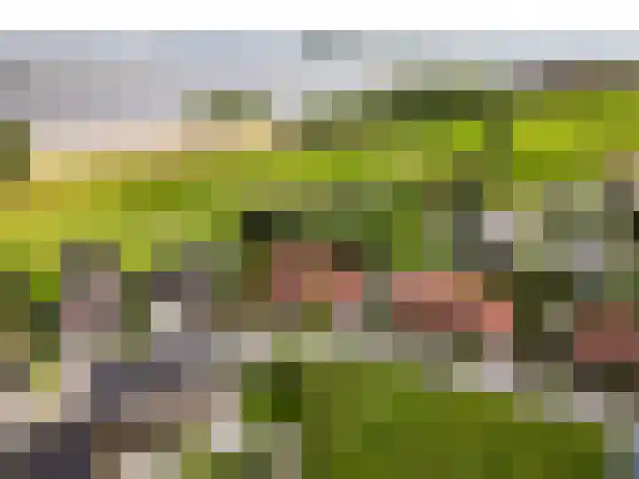 Staverdense beek 8 Biddinghuizen thumbnail 44