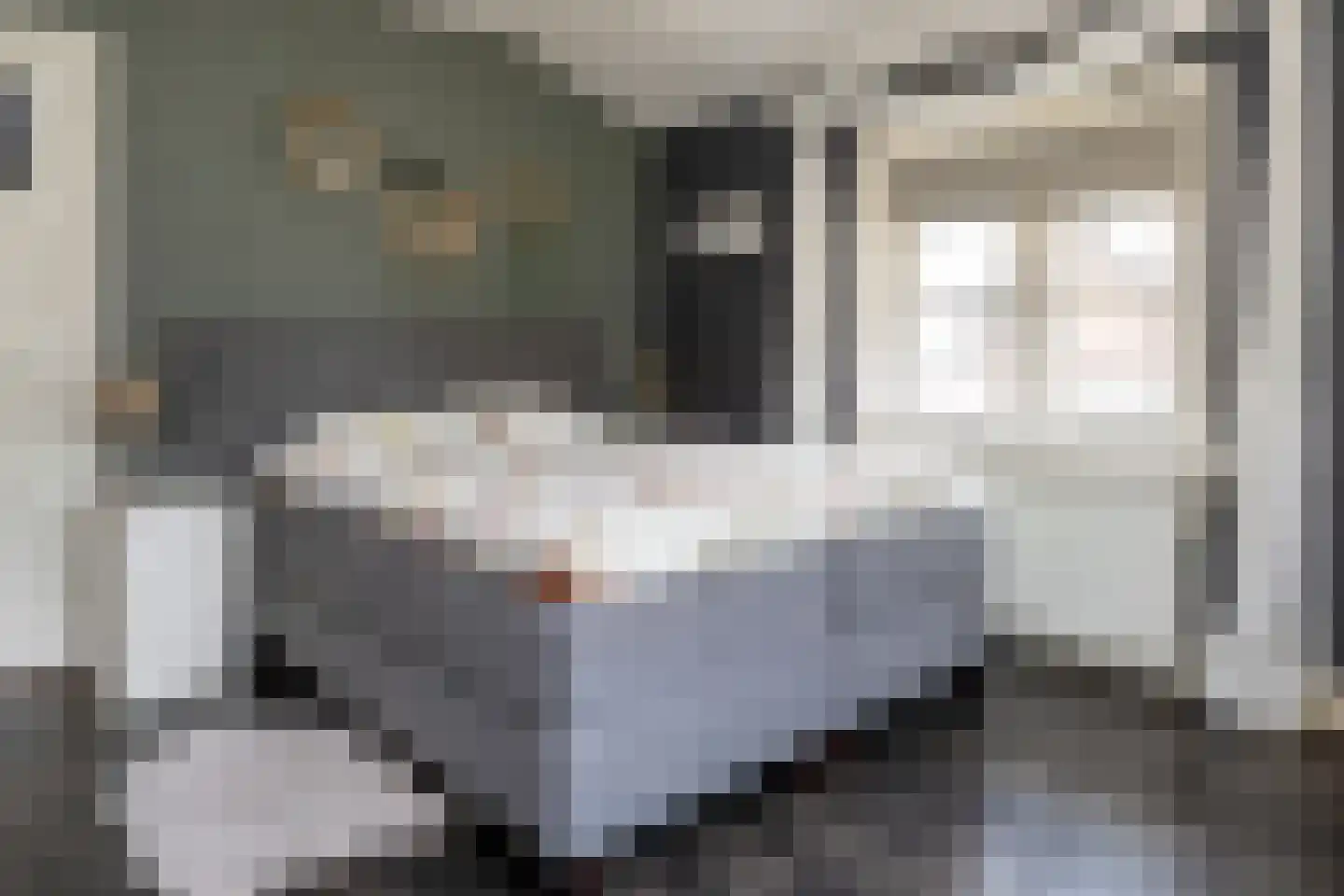 Staverdenseweg 20 Elspeet thumbnail 22