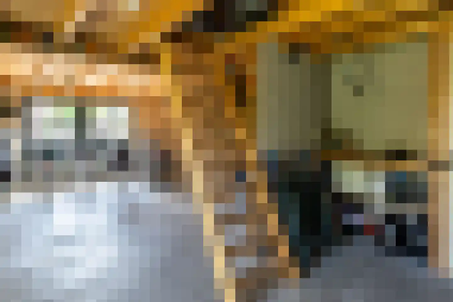 Staverdenseweg 20 Elspeet thumbnail 36