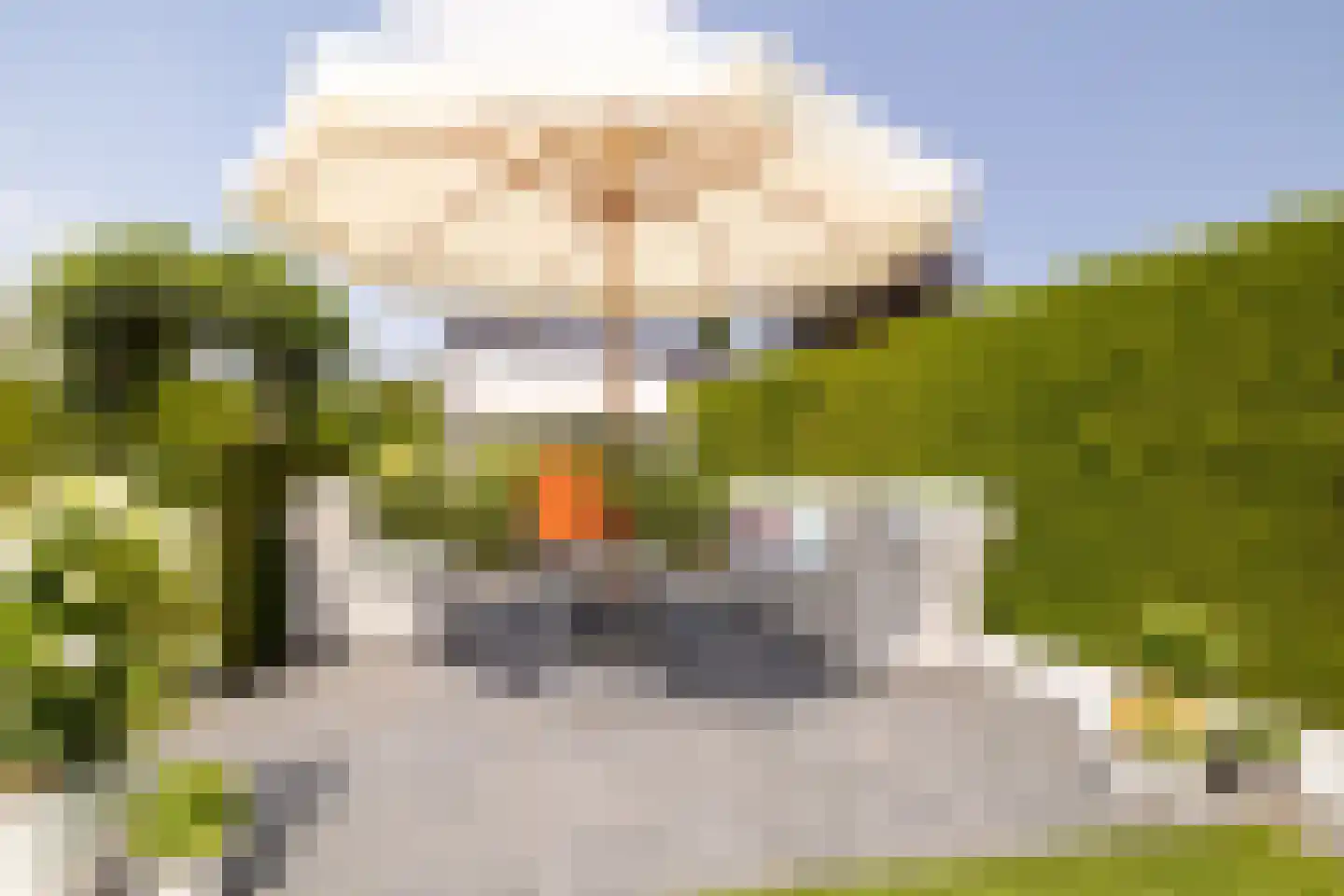 Staverdenseweg 20 Elspeet thumbnail 37