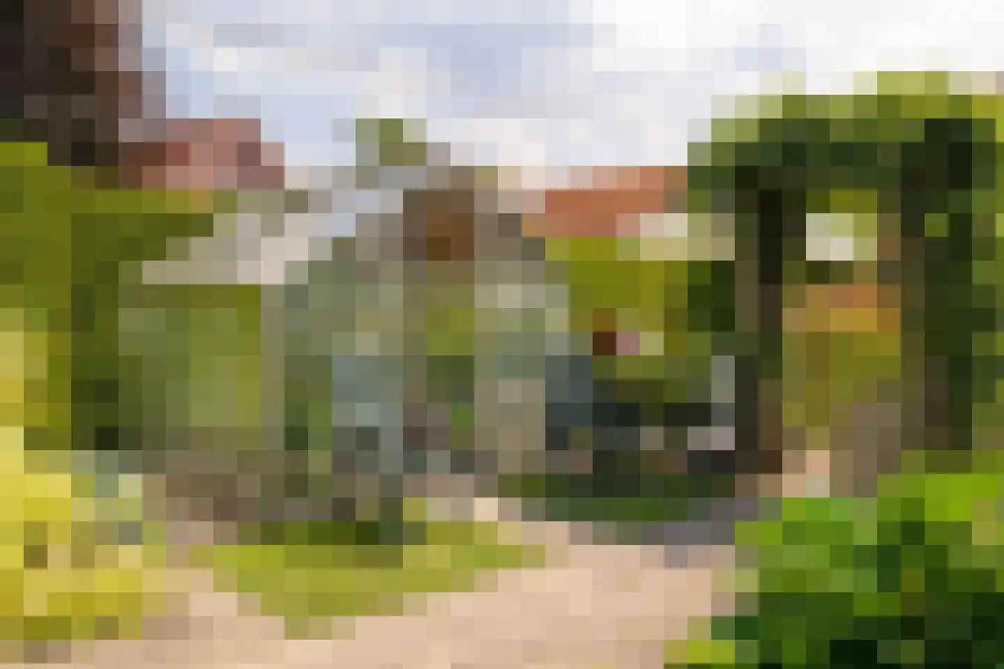 Staverdenseweg 20 Elspeet thumbnail 38