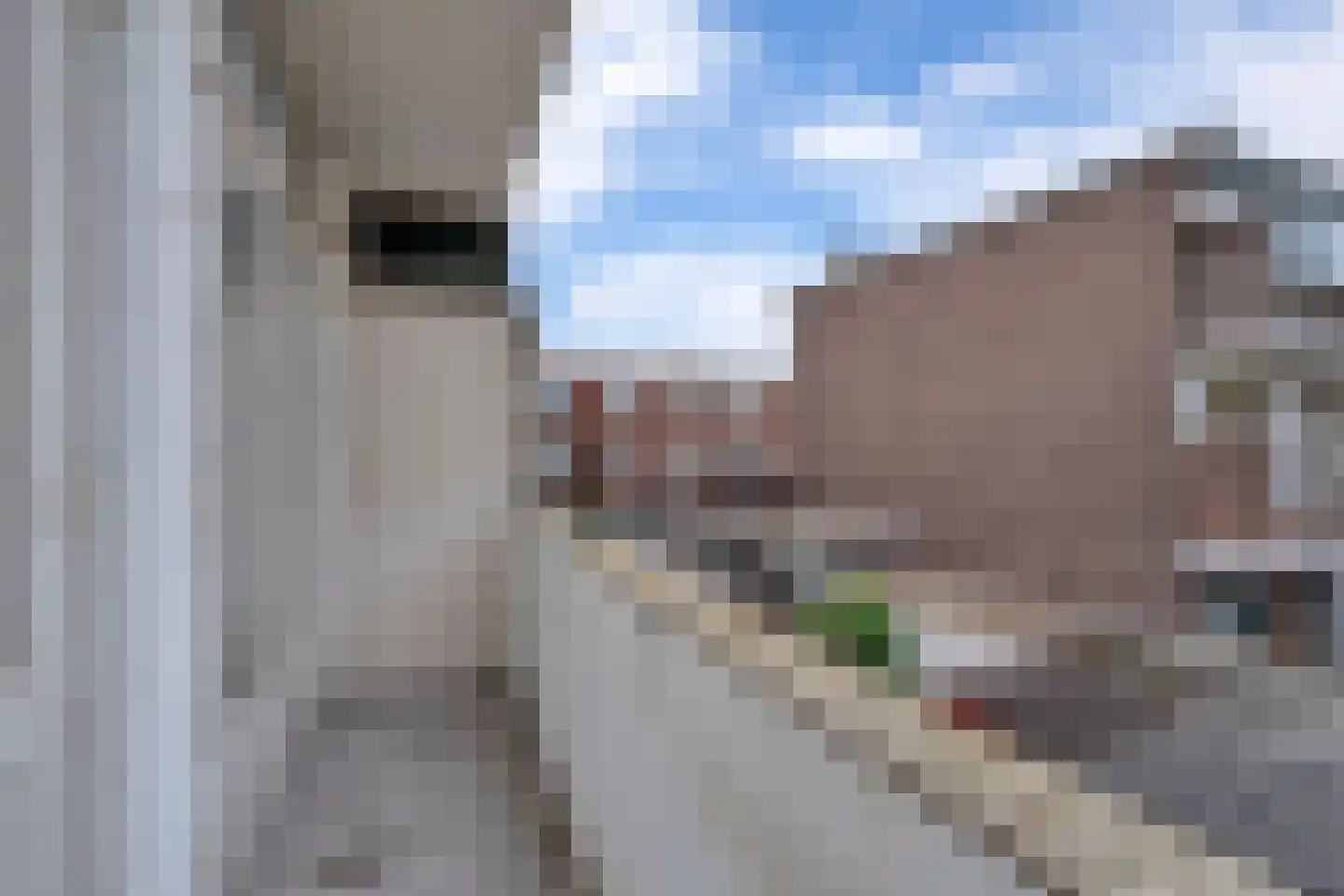 Staverdenstraat 9 Den Haag thumbnail 22