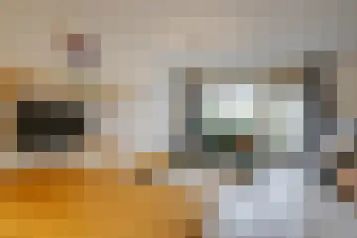 Staverse jolwerf 10 Leiden thumbnail 12