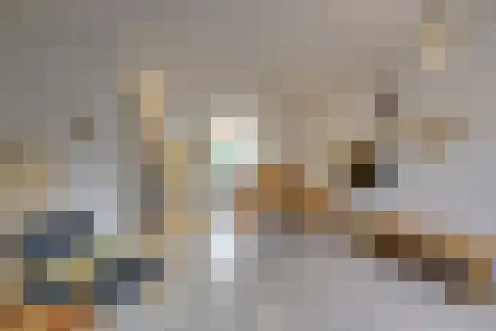 Staverse jolwerf 10 Leiden thumbnail 13