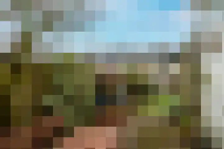 Staverse jolwerf 10 Leiden thumbnail 15
