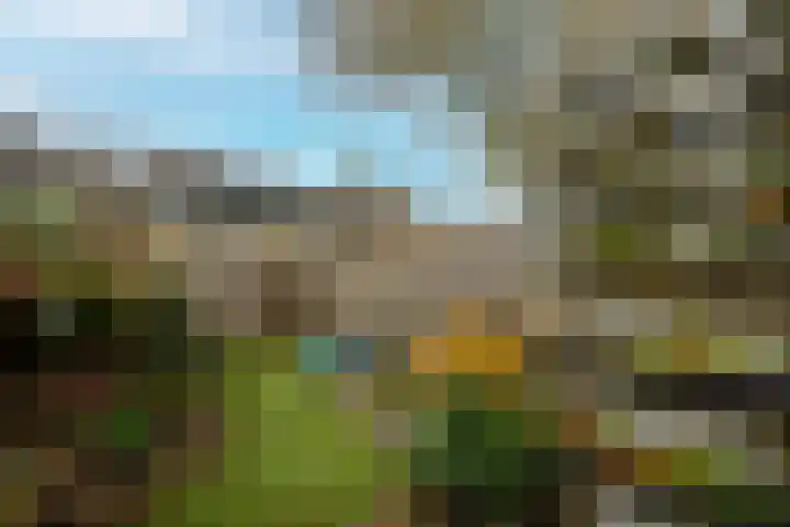 Staverse jolwerf 10 Leiden thumbnail 16