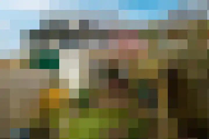 Staverse jolwerf 10 Leiden thumbnail 17