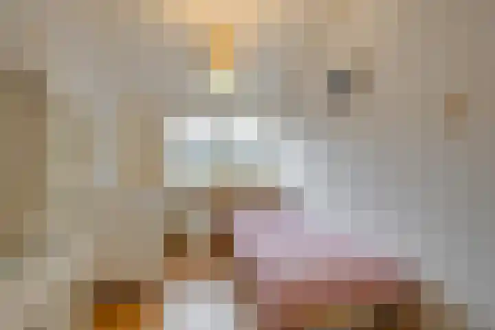 Staverse jolwerf 10 Leiden thumbnail 23
