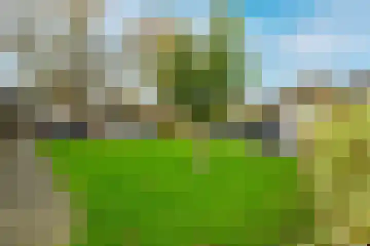 Staverse jolwerf 10 Leiden thumbnail 30