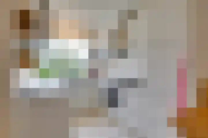 Staverse jolwerf 10 Leiden thumbnail 8