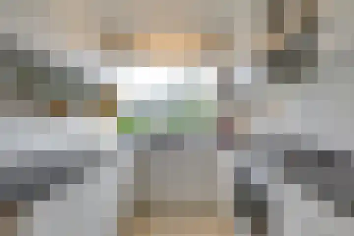 Staverse jolwerf 10 Leiden thumbnail 9