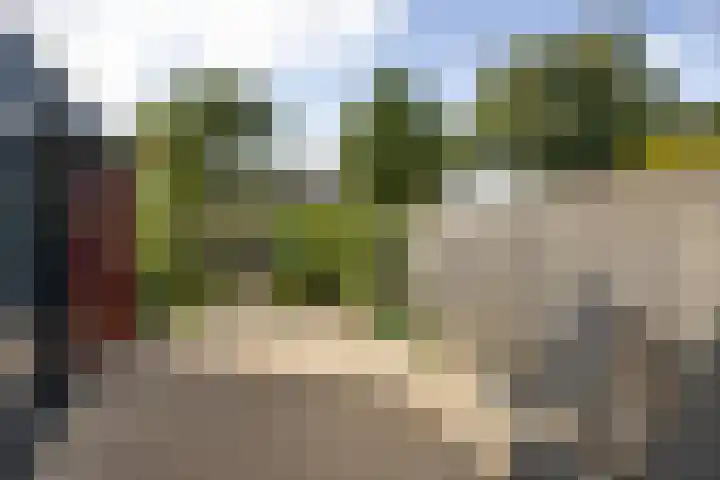 Staverse jolwerf 4 Leiden thumbnail 22