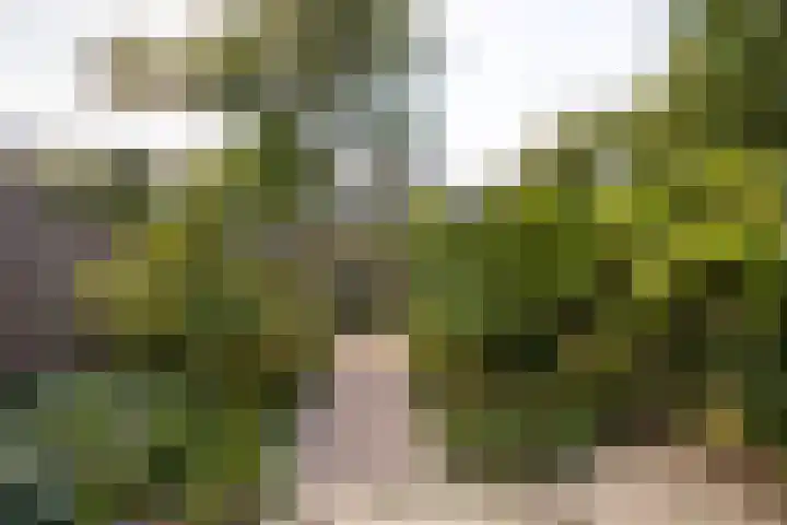 Staverse jolwerf 4 Leiden thumbnail 23