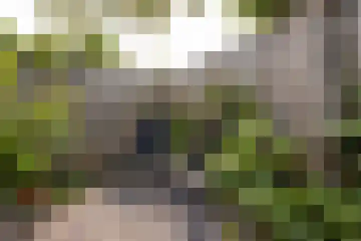 Staverse jolwerf 4 Leiden thumbnail 24