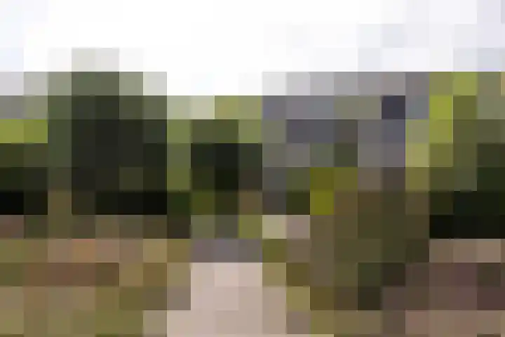 Staverse jolwerf 4 Leiden thumbnail 26