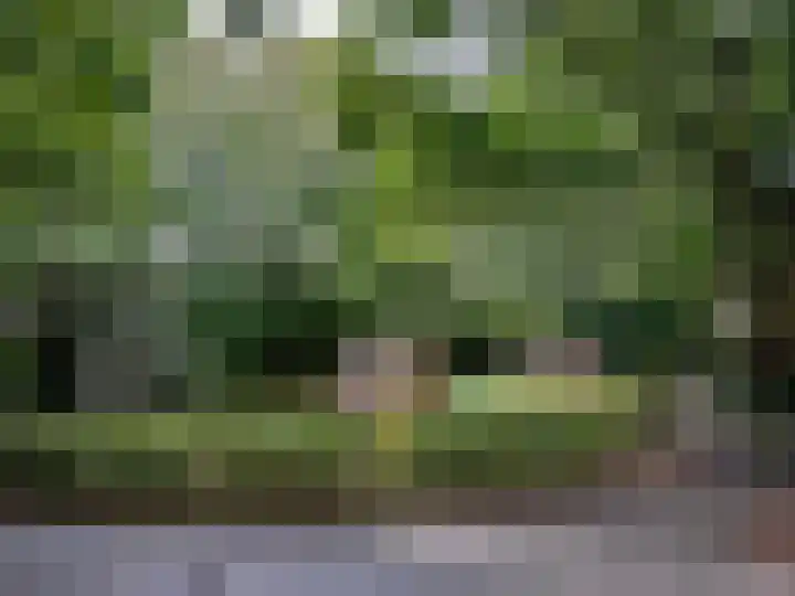 Staverse jolwerf 4 Leiden thumbnail 27