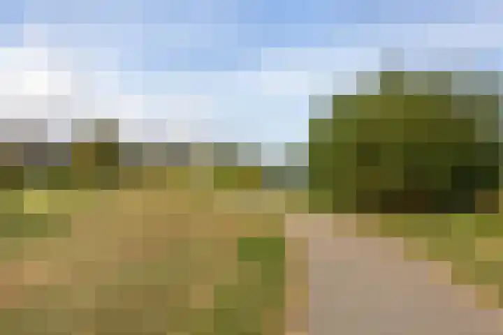 Staverse jolwerf 4 Leiden thumbnail 28