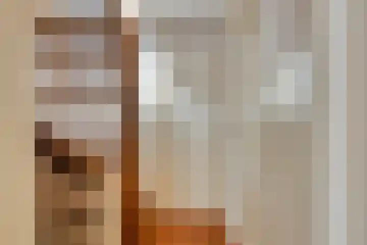 Stavorenplantsoen 3 Volendam thumbnail 25