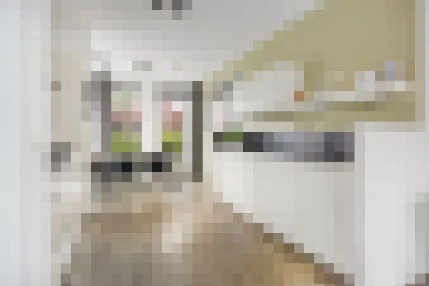 Stavorenstraat 61 Amersfoort thumbnail 8
