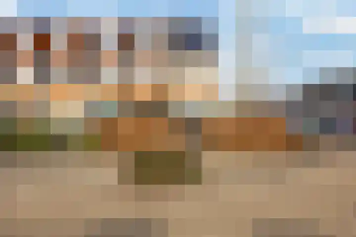 Stedegroen 2 Assen thumbnail 11