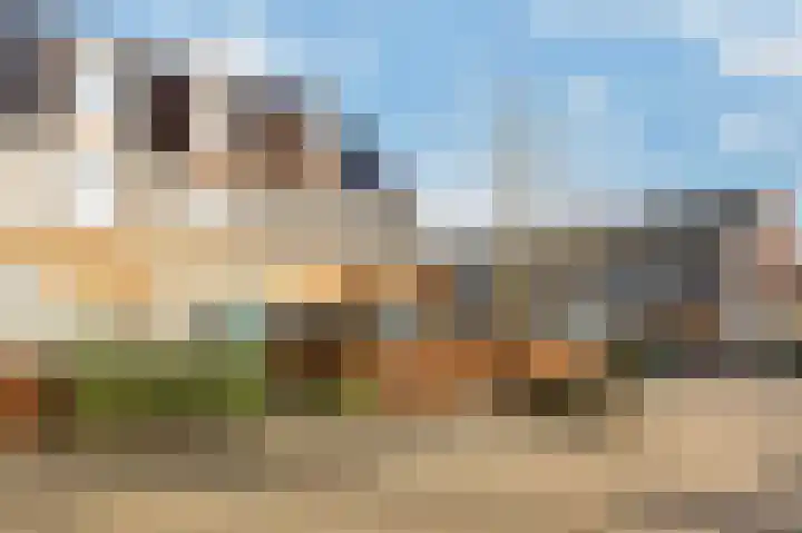Stedegroen 2 Assen thumbnail 12
